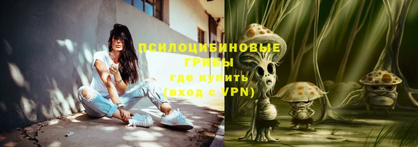 дурь Алзамай